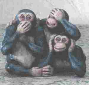 3-monkeys